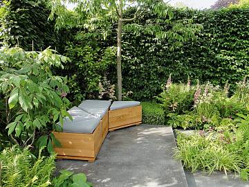 Laubabwerfende Hecken schützen im Sommer vor Sonneneinstrahlung, lassen im Winter aber genug Licht in den Garten.