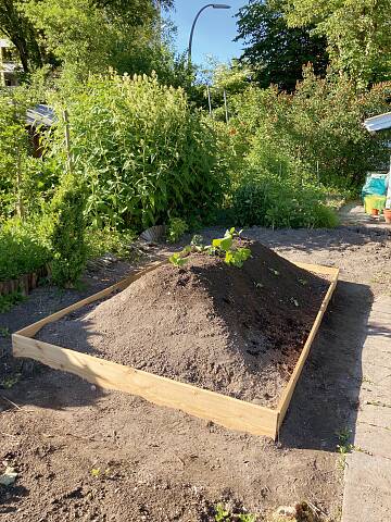 Genau wie beim Hochbeet ist das Arbeiten am Hügelbeet aufgrund der Erhöhung rückenfreundlich, weil man sich weniger bücken muss.