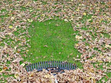 Rasengräser brauchen auch im Winter Luft und Licht zum Leben. Das Herbstlaub mit dem Rechen entfernen (www.fiskars.com)