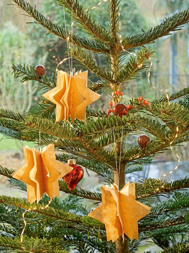 Das ist nachhaltig: geschmückter Baum mit gebastelten Sternen aus ungebleichten Filtertüten