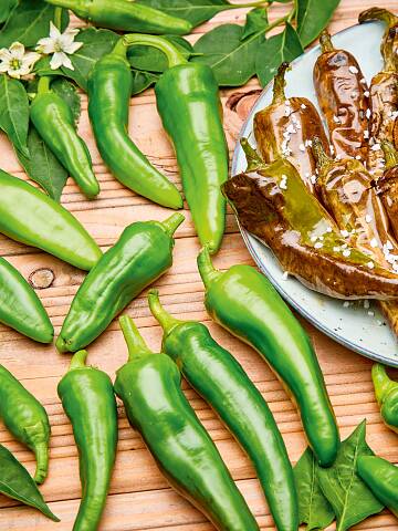 Punktet mit mildem Aroma: die italienische Grill-Paprika ‘Frigitello’.
