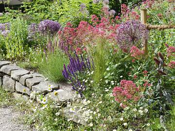 Durch einen bodennahen Rückschnitt der abgestorbenen Pflanzenteile werden Stauden gute Voraussetzungen zum Austreiben bereitet.