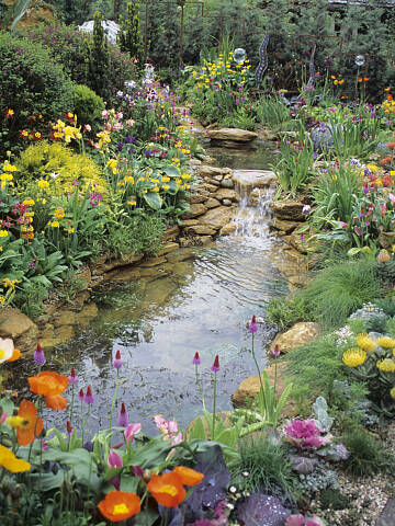 Der Blick in einen Wassergarten ist entspannend.
