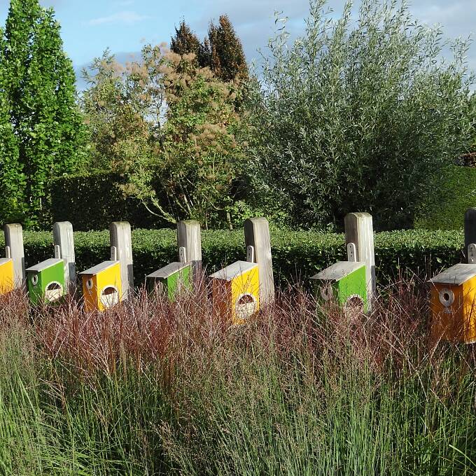 Nistkästen auf der Landesgartenschau