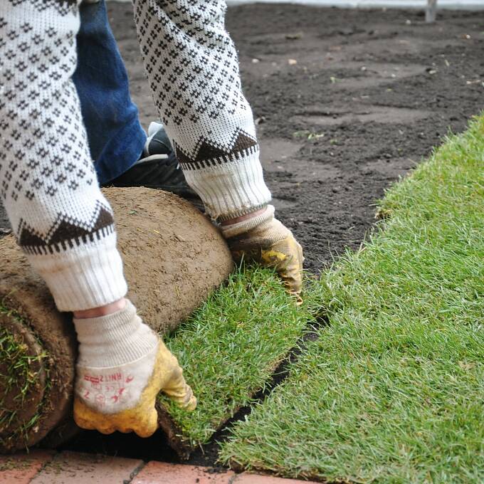 Mit Rollrasen wird der Garten rasch grün. Legen Sie die Rasenbahnen ohne Fuge dicht an dicht.