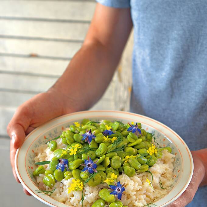 Risotto mit dicken Bohnen