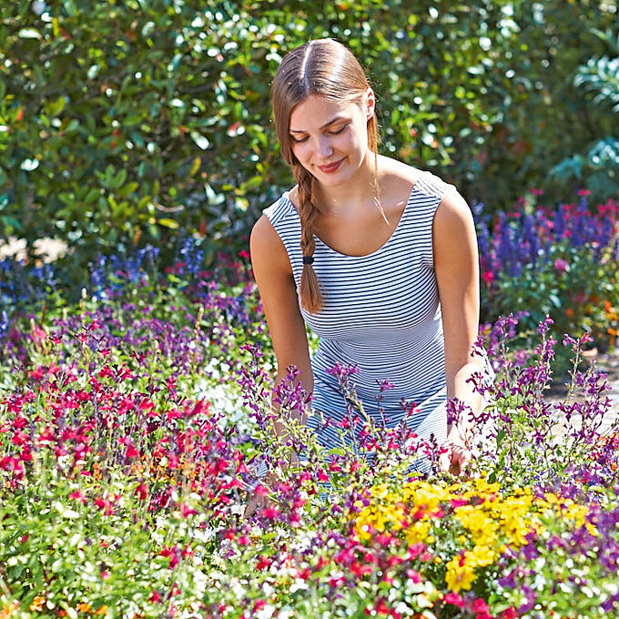 Je bunter und vielfältiger die Bepflanzung, desto abwechslungsreicher ist das Blütenangebot für die heimische Insektenwelt.