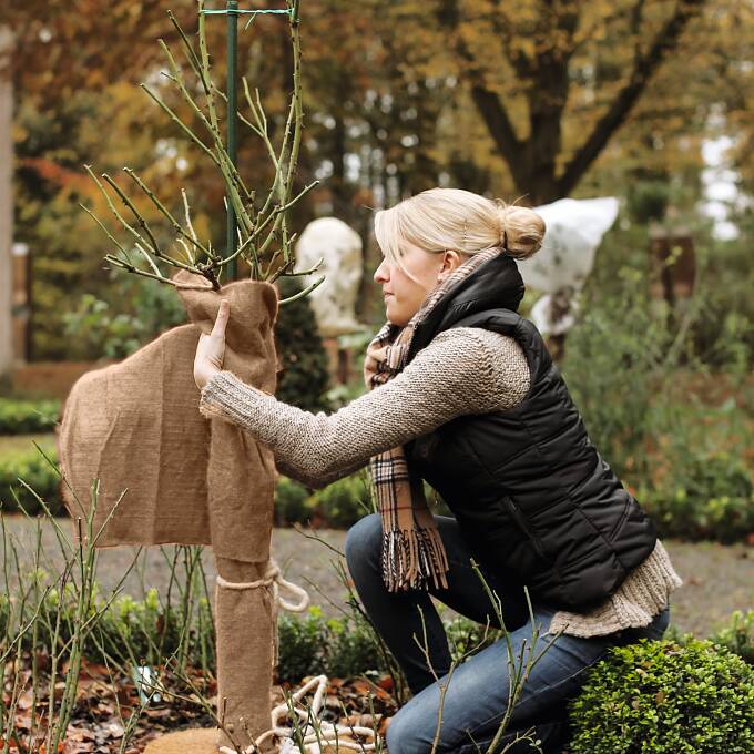 Mit dickem Jutefilz sind Hochstammrosen gut gegen Frost und Wind geschützt. (www.winterschutz.de)