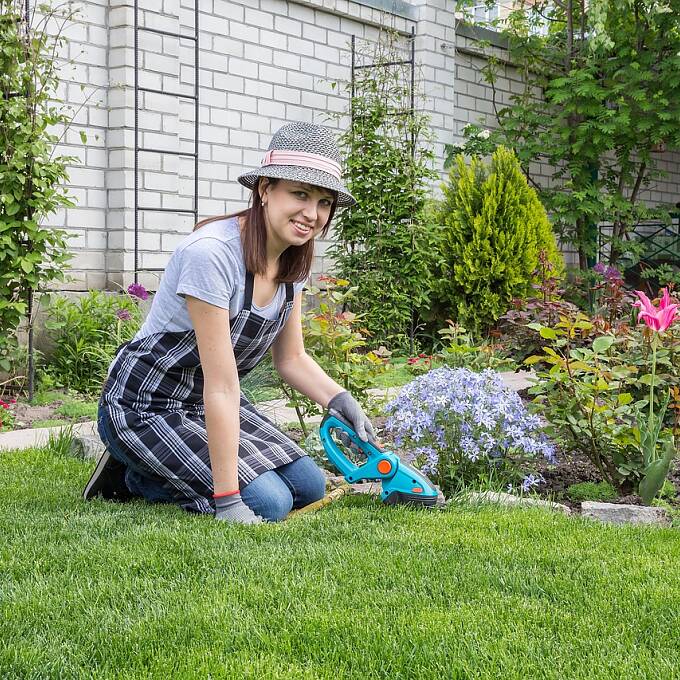 Gartenplanung für Anfänger