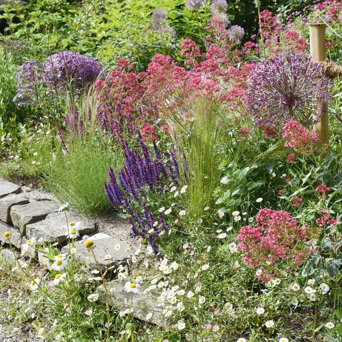 Durch einen bodennahen Rückschnitt der abgestorbenen Pflanzenteile werden Stauden gute Voraussetzungen zum Austreiben bereitet.