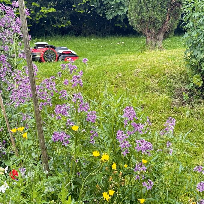 Autonome Landschaftspfleger